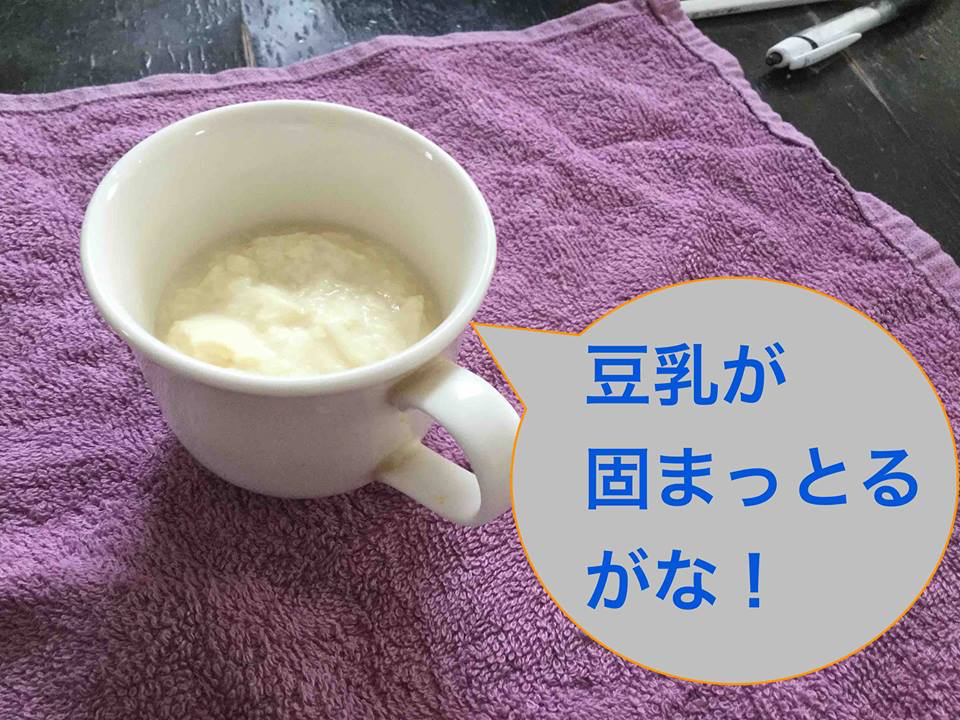 豆乳ヨーグルトでらくちん発酵生活（作り方あり）